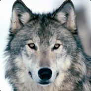 Theblueboss