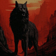 WOLF 🐺