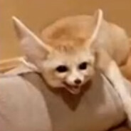fennec