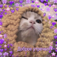 anastasialukina1133