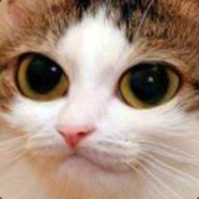 MIAU! Saatana