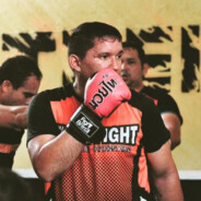 pedrotigrefight