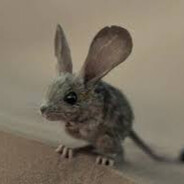 Muad'Dib