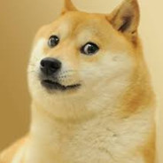 Doggu v.2