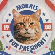 FREE morris