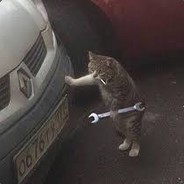 Mechanic Cat