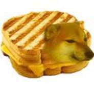 Grilled cheems