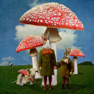 PaintedToadstool