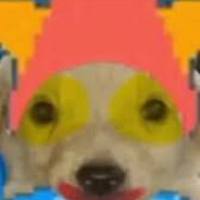 Perro Balatro
