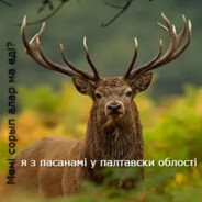 костя залупенька