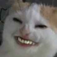 Meow