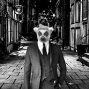 LemurDeBlur