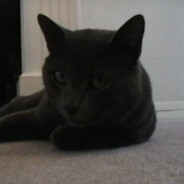 Chauncey
