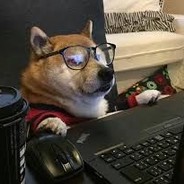 pro köpek
