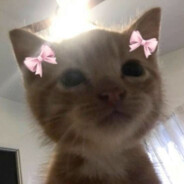 🚆Lucy⁧⁧(smol)