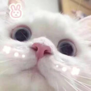 小气鬼2333