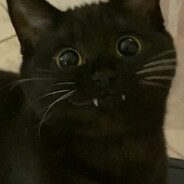 ems
