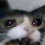 Sad Cat
