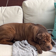 Stewieeee🧃 avatar