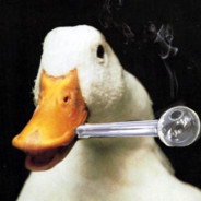 Quacked