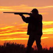 THE HUNTER