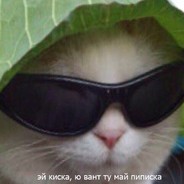 KEKSICK2011