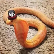 litl snek ;)