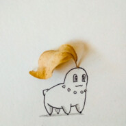 MTKichu