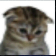 KittycatUwU^^