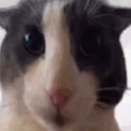 Amogusus