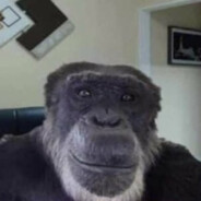 ape