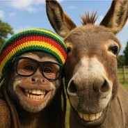 Jah Donkey