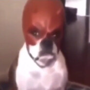 HOW CAN YOU SEE INTO MY EYES