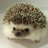 jnhgjmkvhzs