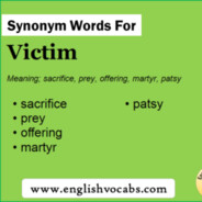 vIctim_46