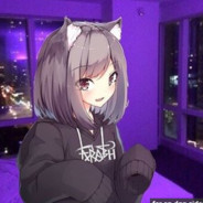 MINI (´･ω･`)