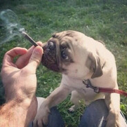 Аватар сообщества Steam