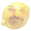 Flego