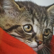KacpeQ ♥♥♥♥♥♥♥♥♥♥