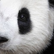 Der panda