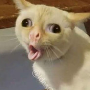 JeoNvm_