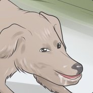 UglyMug123