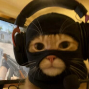 PurrTactic_EasySkins com
