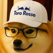 Toro Rosso DOG