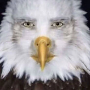 Avatar de la communauté Steam