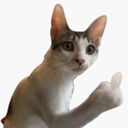 sxbaxauz