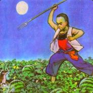 红头柚子