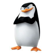 Skipper