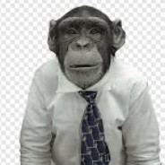 Macaco Sapiens