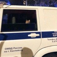 кашевар:)